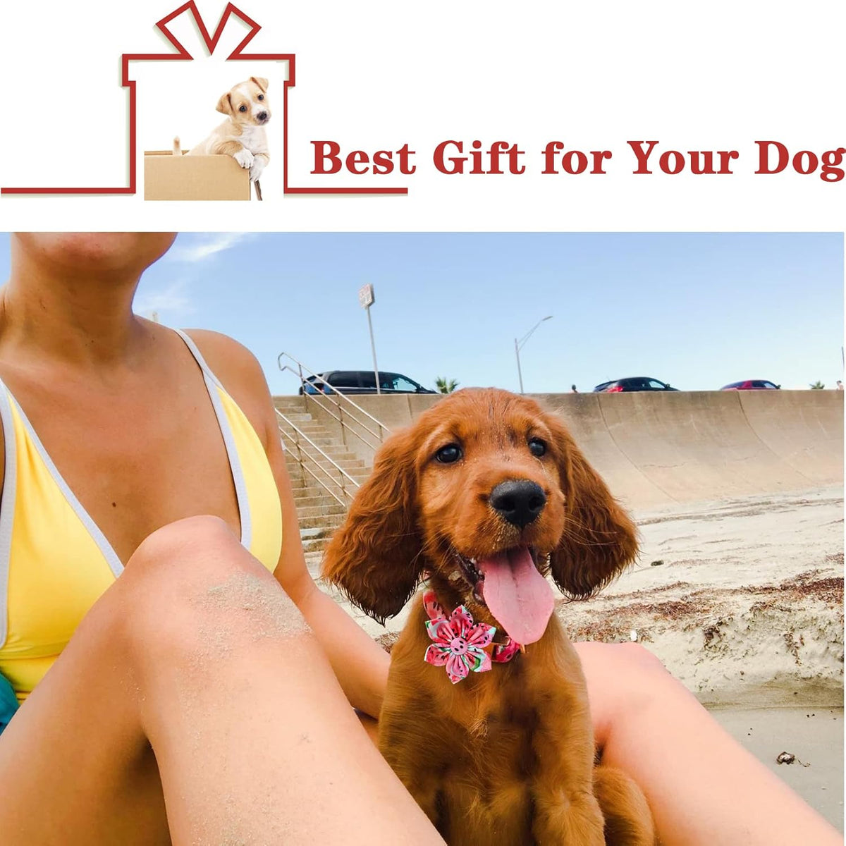 Dog Collar with Flower Tie Cotton Watermelon Collar Adjustable Summer Collar for Small Medium Large Dogs - photo 5