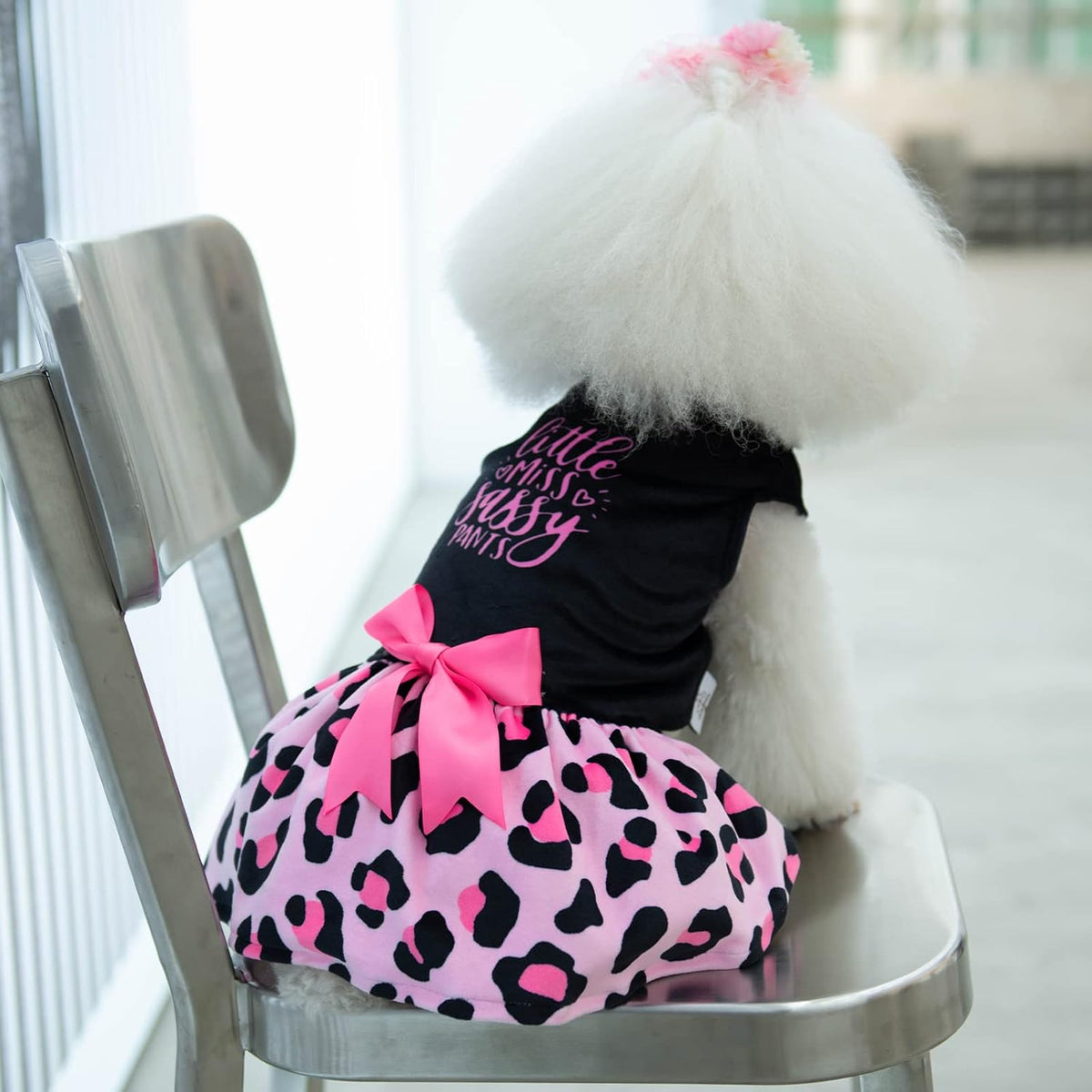 Little Miss Sassy Pants Pink Leopard Velvet Dog Dress - photo 5