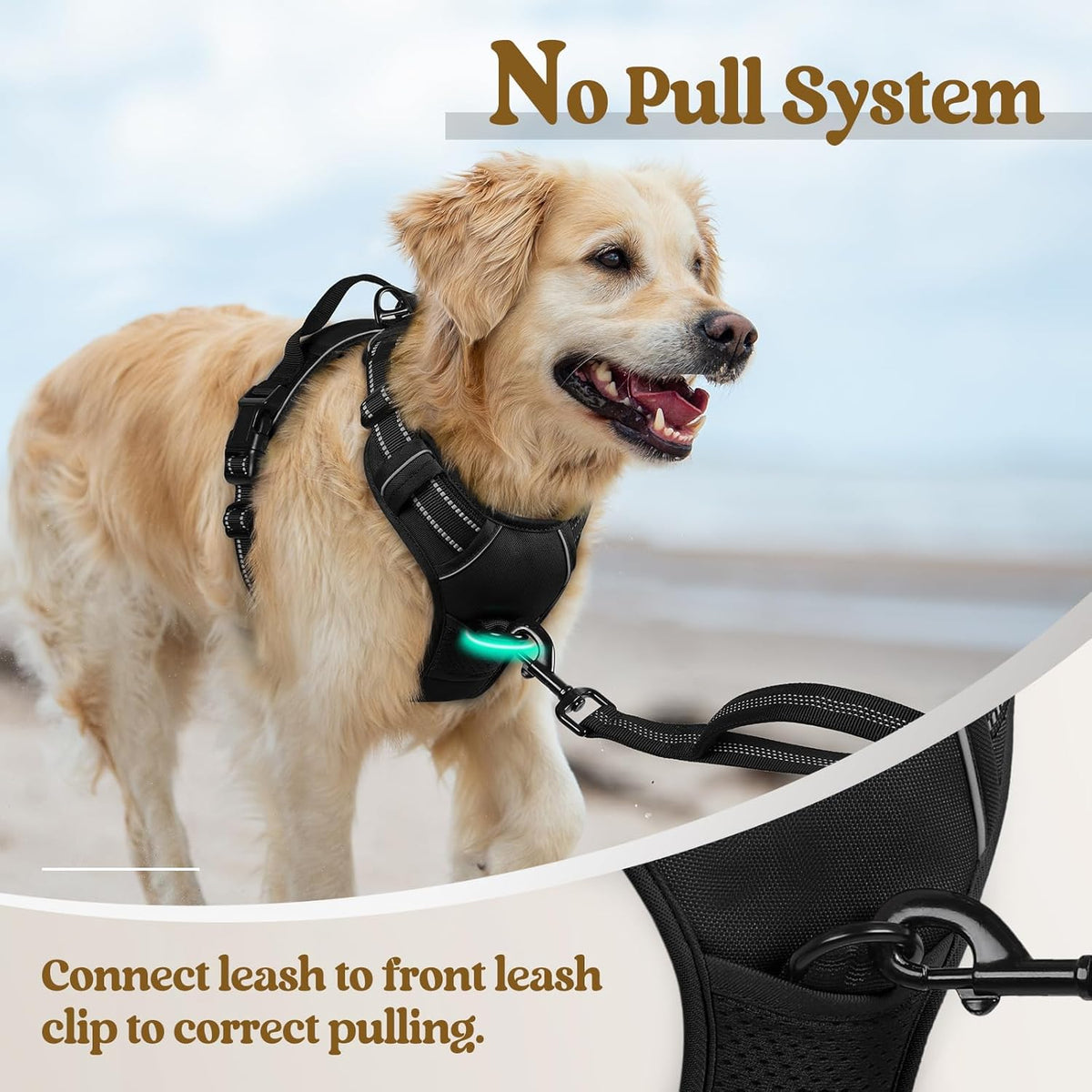 Dog Harness No Pull with 2 Leash Clips, Adjustable Soft Padded, Reflective Oxford No Choke Pet Vest with - photo 5