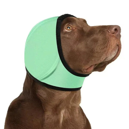 Dog Ear Protection - photo 10