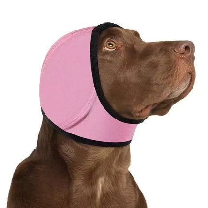 Dog Ear Protection - photo 11