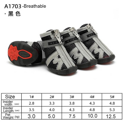 Small dog wearing shoes for hot pavement on summer concrete