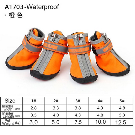 Dog shoes for hot pavement worn during outdoor summer activity