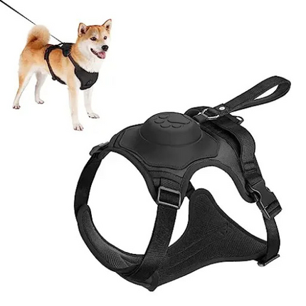 Dog harness and automatic retractable leash kit complete set