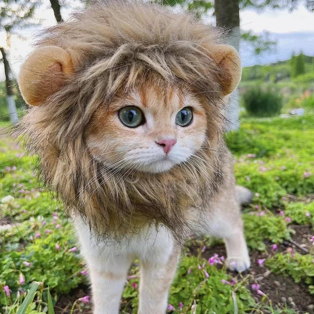 USA CALI Cat Lion Mane – Funny Costume for Cats & Small Dogs