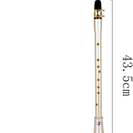 Compact Pocket Clarinet Saxophone Kit with Carrying Bag for Beginners