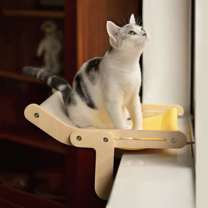 Cat resting inside sturdy hanging cat bed showing comfortable interior space