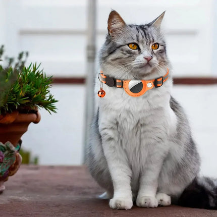 Cat wearing reflective safety collar with built-in AirTag slot