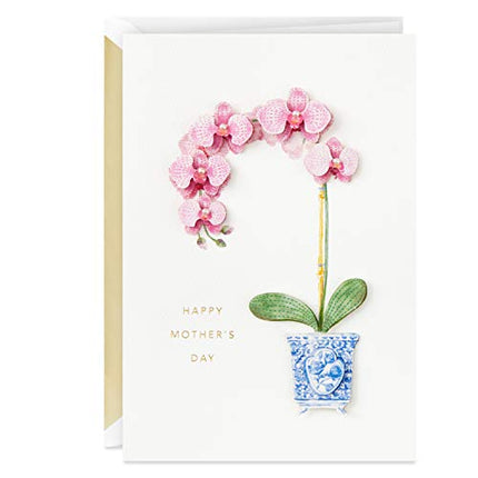 Amazon.com : Hallmark Signature Mother's Day Card (Little Reminder) : Office Products