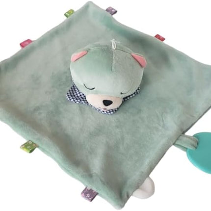 Teddy Bear Security Blanket, Soft Baby Lovey, Newborn Baby Gift for Boys or Girls, Comfort Toy Blanket, Babiy's Go To Comforting companion (Green Bear)