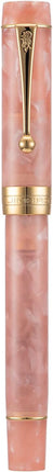 Jinhao 100 Fountain Pen Celluloid Classic Style, #6 Nib Smooth Writing Instrument with Refillable Converter and Pen Case Set