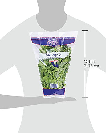 Natures Reward Cilantro, 1 EA
