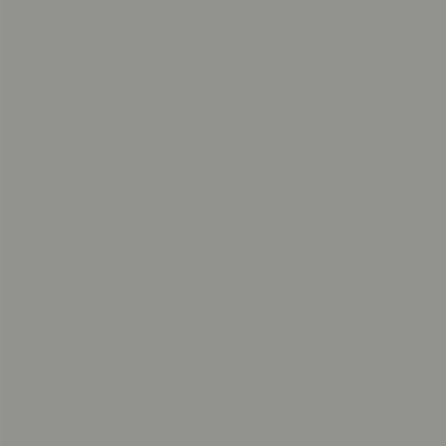 Premium Automotive Paint, Bright Platinum (M)