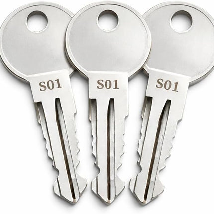 3-Pack S10 Replacement Keys for Ford Trucks Boxlink Cleat Lock, Compatible with Ford F150, F250, F350, Cut to Key Code S01–S20