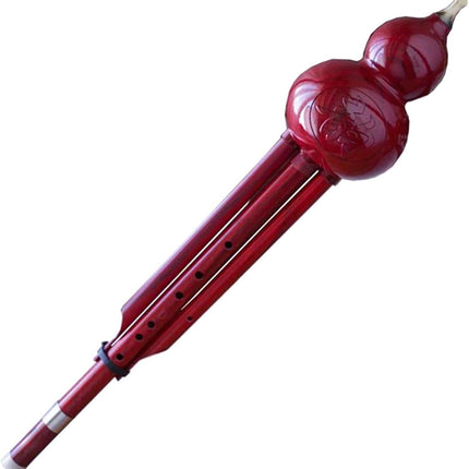 Bass D Key Hulusi ABS Resin Cucurbit Flute Folk Musical Instrument Professional Chinese Gourd Flute Professional Hulusi