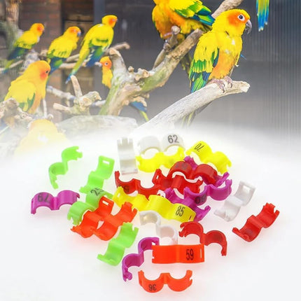 100pcs/lot 5mm 1-100 Numbered Clip snap Plastic Bird Ring Leg Bands Parrot Finch Canary Grouped (White)