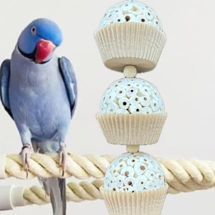 Shred and Destroy Bird Toy for Medium Birds - Conures, Cockatiels - Natural Sola Ball Hanging Chew Toy - 2 Pack - Boredom Buster Cage Toy