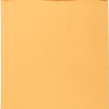 HOIGON 120 Pack 3 Sizes Clasp Envelopes, Kraft Paper Catalog Envelopes with Metal Clasp for Document Filing, Storage and Mailing (6x9, 9x12, 10x13 Inches)