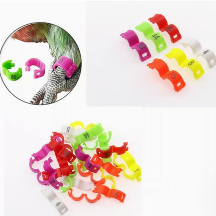 100pcs/lot 5mm 1-100 Numbered Clip snap Plastic Bird Ring Leg Bands Parrot Finch Canary Grouped (White)