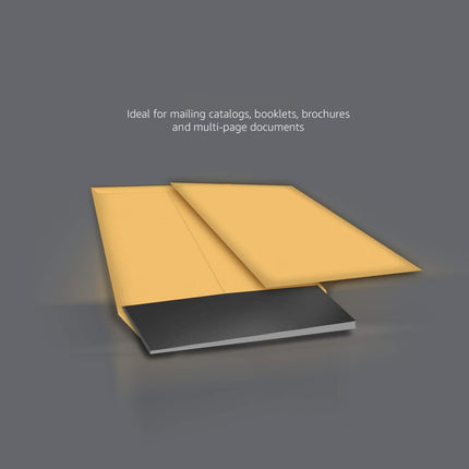 Catalog Mailing Envelopes,Peel and Seal,10x13 Inch,Brown Kraft,250 Count (Pack of 2)