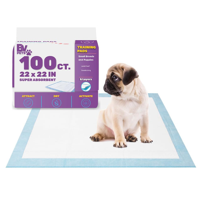 Puppy Pads Leak-Proof 100 Count 22"x 22" - Absorbent Pee Pads for Dogs with 6-Layer Design, Rapid Dry Sheet & Built-in