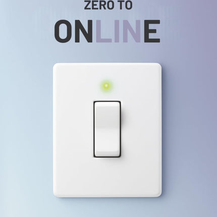 Zero To Online: Everything You Need to Launch, Grow, and Scale a Profitable Online Business Without Wasting Years Figuring It Out