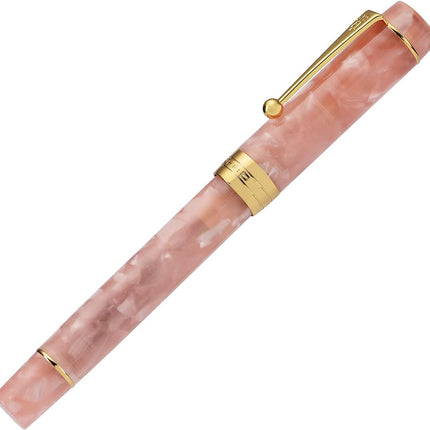 Jinhao 100 Fountain Pen Celluloid Classic Style, #6 Nib Smooth Writing Instrument with Refillable Converter and Pen Case Set
