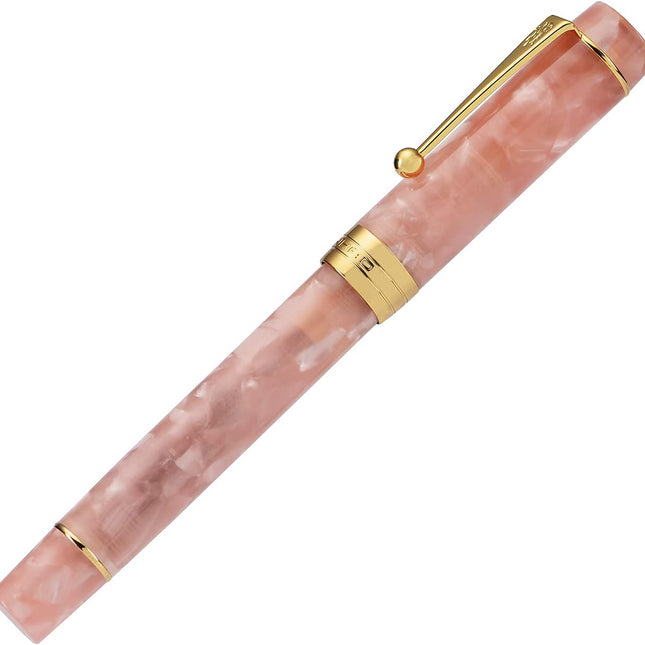 Classic Pink Medium Nib Fountain Pen with Converter and Pen Case Set