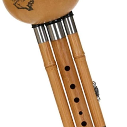 Chinese National Musical Instrument Hulusi Flute Beginner Adult Professional Playing Type Gourd Flute Professional Hulusi,D Key
