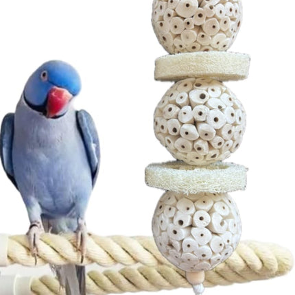 Shred & Destroy Natural Bird Toy - Double Texture Soft & Crunchy - Sola Ball and Loofah Plant - Medium Birds - Cockatiels, Conures - 2 Pack