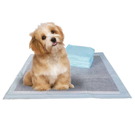 Puppy Pads Leak-Proof 100 Count 22"x 22" - Absorbent Pee Pads for Dogs with 6-Layer Design, Rapid Dry - photo 8