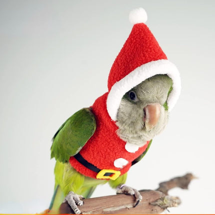 Bird Clothes Birds Flight Suit, Christmas Hoodie for Parrots Cockatiel Sun Conure Christmas Party Cosplay Photo Prop Bird Small Animals Apparel (Without Diaper,Green-cheeked Conure) Red