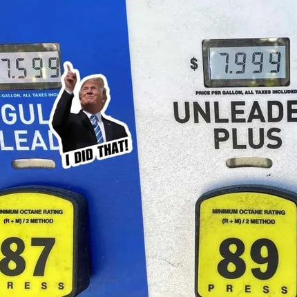 100PCS I DID that! Trump Meme Stickers - Waterproof Vinyl Funny Political Decals for Car, Laptop, Water Bottle