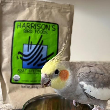 Harrison's Bird Foods Bird Food Adult Lifetime Fine Certified Organic Non-GMO Formula Bird Food 1lb
