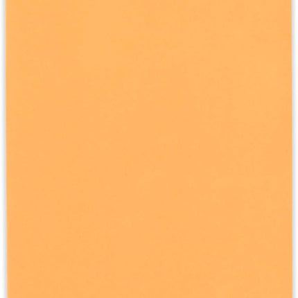 Mead Envelopes, 6" x 9", Clasp Closure, Brown Kraft All-Purpose 24-lb Paper Mailing Envelopes, 25 Count (76018)