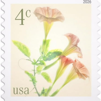 Angel's Trumpets 2026 4-Cent (Sheet of 20) Nature Flowers Definitive Denominated Mail-Use Additional Postage Stamps
