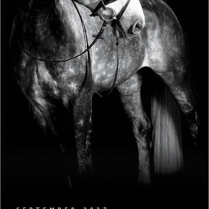 The BrownTrout Portrait Series: The Noble Horse | 2027 12 x 24 Inch (Hanging) Monthly Square Wall Calendar | Plastic-Free | Pets Equestrian