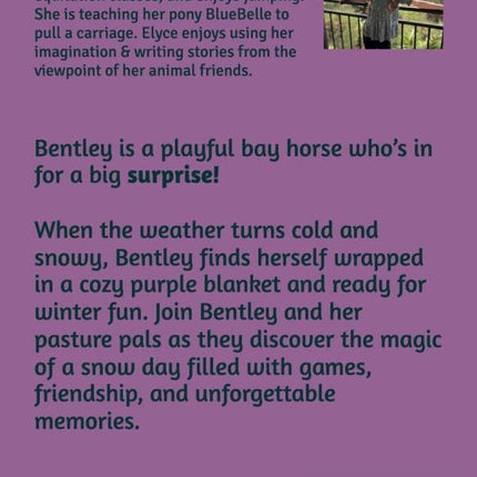 Bentley and the Snow Day: Gunn, Elyce M.: 9798264302077