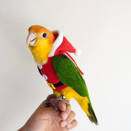 Bird Clothes Birds Flight Suit, Christmas Hoodie for Parrots Cockatiel Sun Conure Christmas Party Cosplay Photo Prop Bird Small Animals Apparel (Without Diaper,Green-cheeked Conure) Red