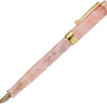 Jinhao 100 Fountain Pen Celluloid Classic Style, #6 Nib Smooth Writing Instrument with Refillable Converter and Pen Case Set