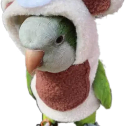 Bird Costume Bird Diaper Flight Suit Bird Bear Shape Bird Clothes Cosplay Photo Prop for Parrots Lovebird Parakeet Cockatiel Small Animals Apparel (Without Diaper,Green-cheeked Conure)