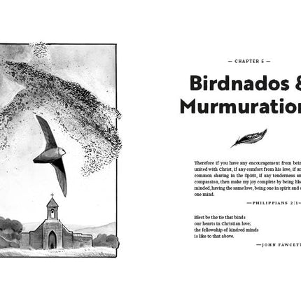 Considering Sparrows: What Birds Teach Us About Who We Are, Where We're Going, and the Joy of Following Jesus
