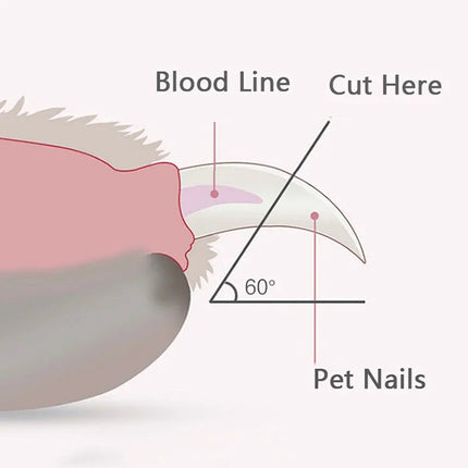 Pet Nail Clipper with Led Light - photo 5