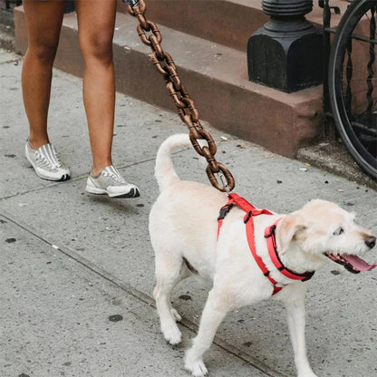 SourcetoHome Funny Dog Chain Leash -  - detail view 4