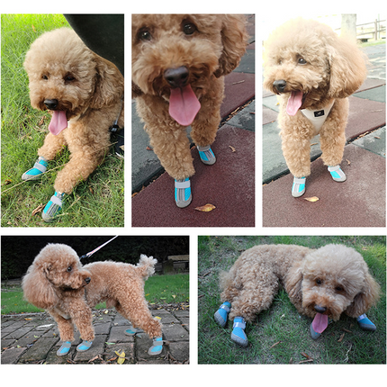 Reflective dog shoes for hot pavement safe for summer walks