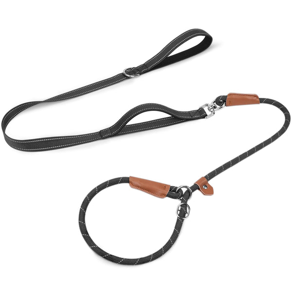 Slip Lead Dog Leash with Dual Handle, No Pull, Black, 6FT x 3/8"