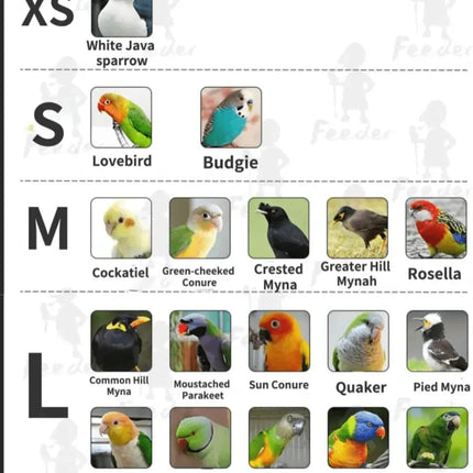 Bird Flight Suits Diapers, Parrot Flight Suits Diapers for Monk Parakeets, Cockatiels Flight Suits, Parrot Clothes, Bird Training Nappy Suit Liners Clothes (XS, Purple-B)