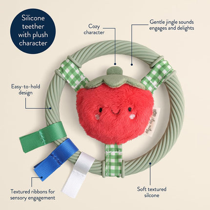 Itzy Ritzy Teething Ring (Tomato)