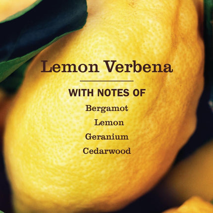 Lemon Verbena Liquid Hand Soap Refill, 33 fl oz