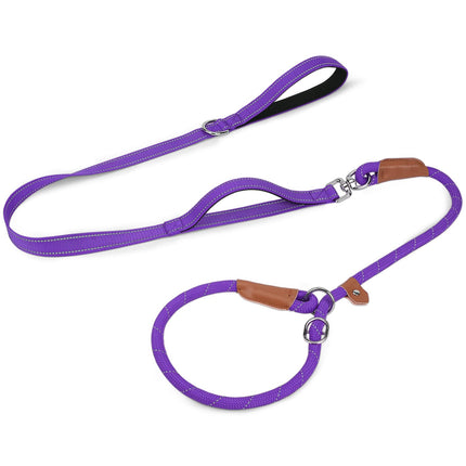 Slip Lead Dog Leash with Dual Handle, No Pull, Black, 6FT x 3/8"